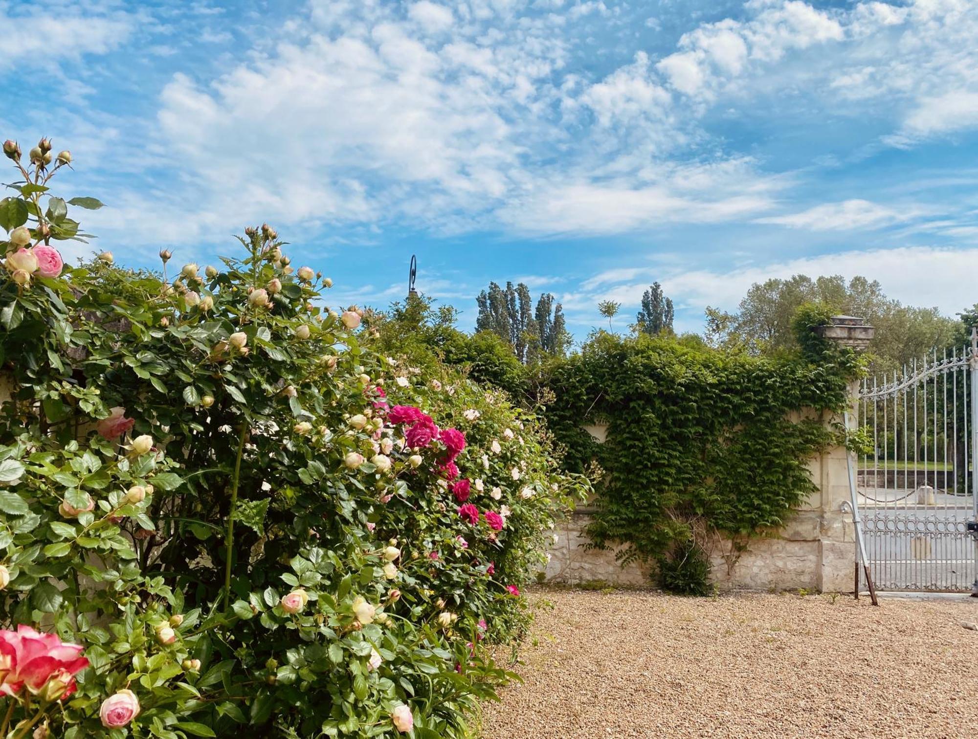 Maison Adrienne Saint-Aignan  Bagian luar foto